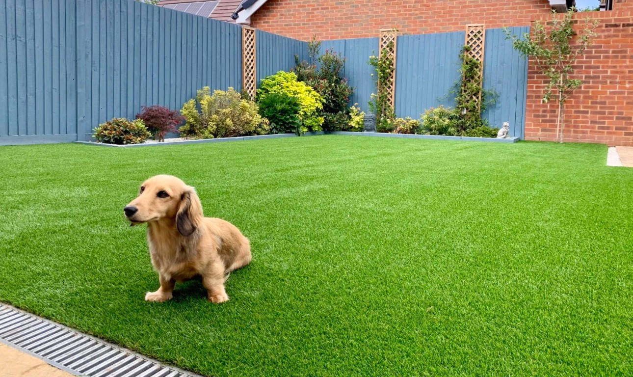 Pet-safe artificial grass with excellent drainage for dogs in Nashua, NH